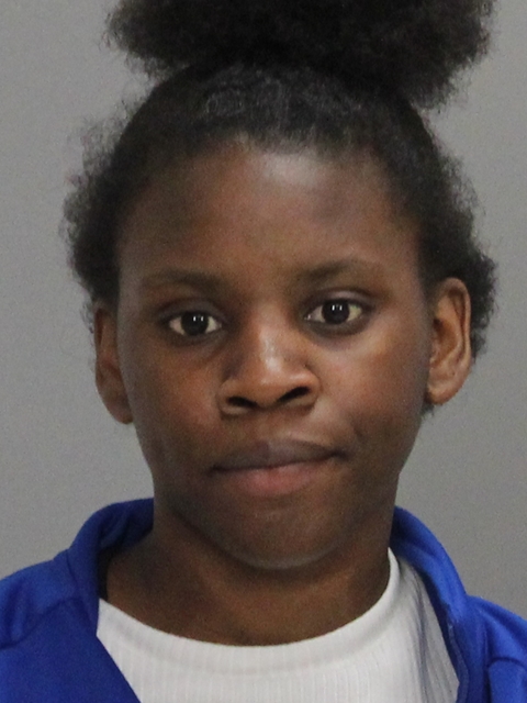 JOHNSON, AUMAYA DENISE booking photo