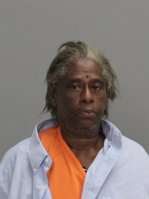 ROBERSON, BRIGETT LAVEL booking photo