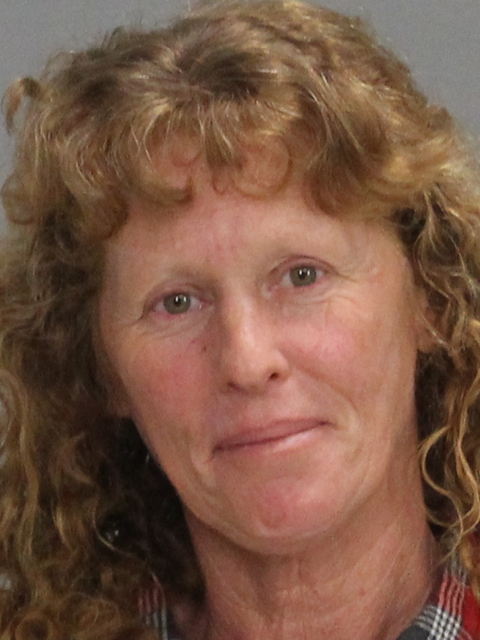 BAKER, TONYA LEE arrested by Brazos County SO/PD