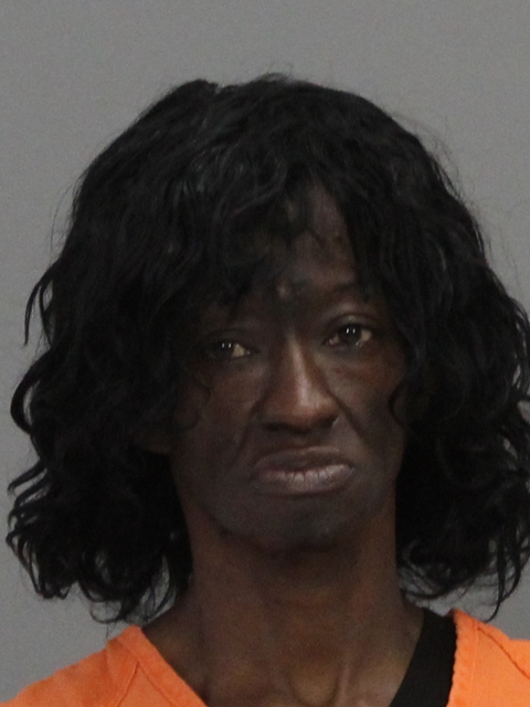 Hawkins, Theresa booking photo