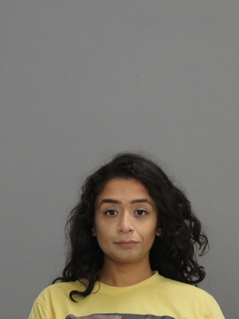 CASTILLO, EVA booking photo