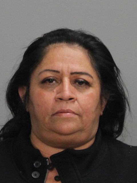 ZUNIGA, SALLY ANN booking photo