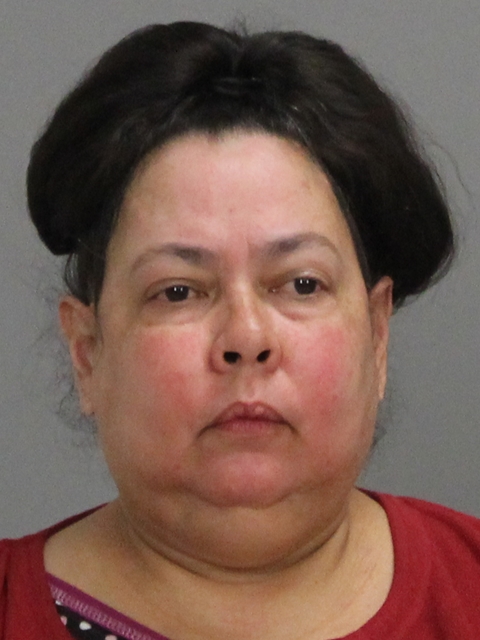 DIAZ-GONZALEZ, CARMEN ROSA booking photo
