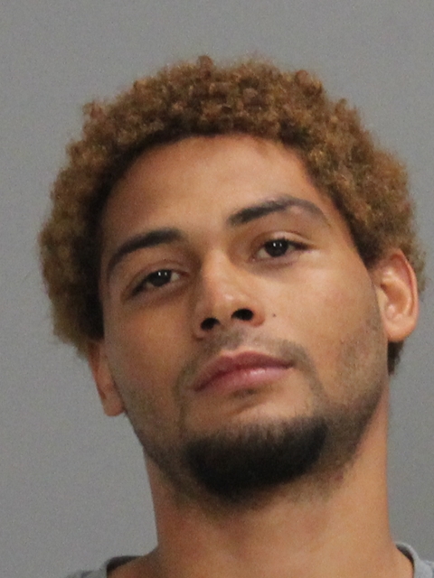 DAVIS, EDDIE ANDREW, II booking photo