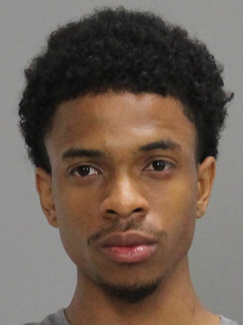 JOHNSON, ALBERT TERRENCE booking photo