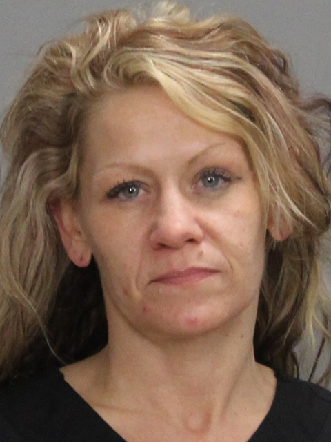 BISHOP, DANESSA JUNE booking photo