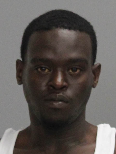 JOHNSON, EDWARD DEWAYNE booking photo