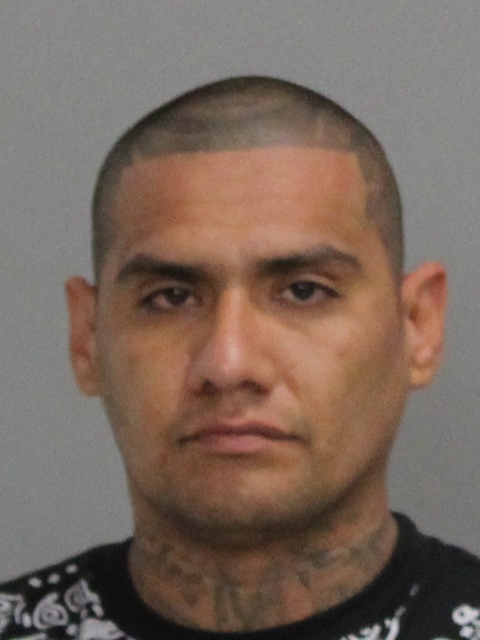 DELEON, JOEL booking photo