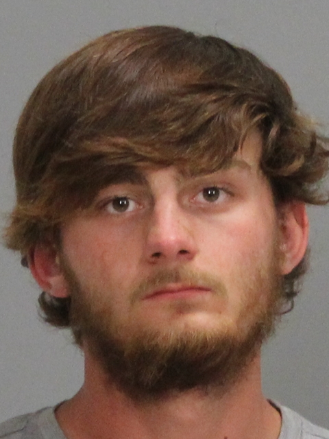 STEVENSON, ASHTON LEE booking photo