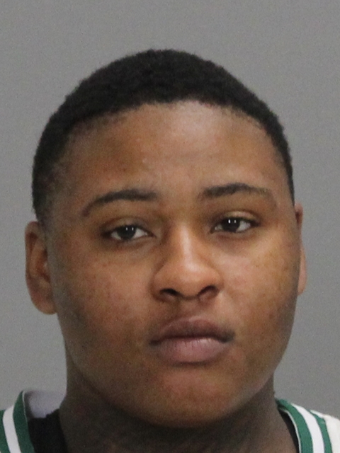 Love, Brianna Reajean booking photo