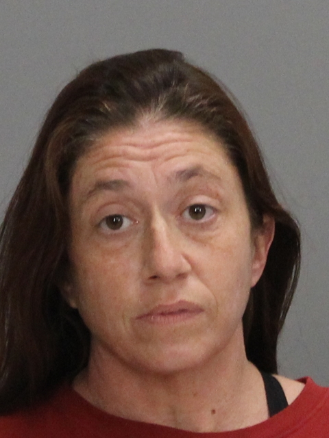 HUSTED, DONNA MARIE arrested by Brazos County SO/PD