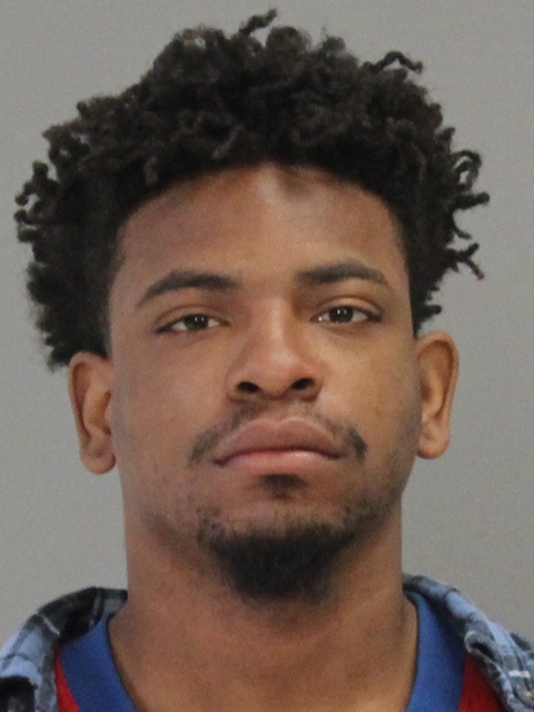 BROWN, DARWIN DEMON booking photo