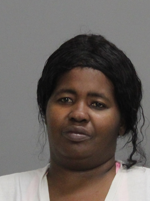 JOHNSON, SOPHLIA MARIE booking photo