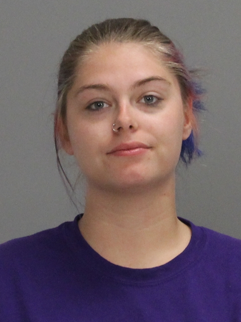 DAVIS, TIFFENY ANN booking photo