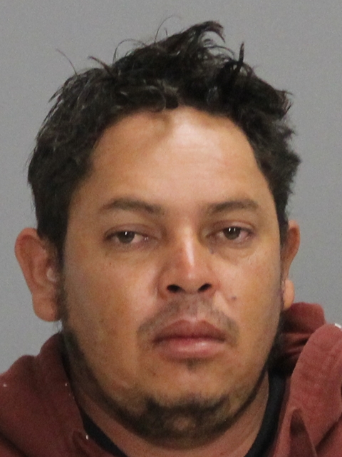 SANCHEZ PEREIRA, YVONNE ALCIDES booking photo