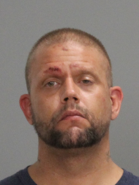 PUZA, PAUL DAVID booking photo