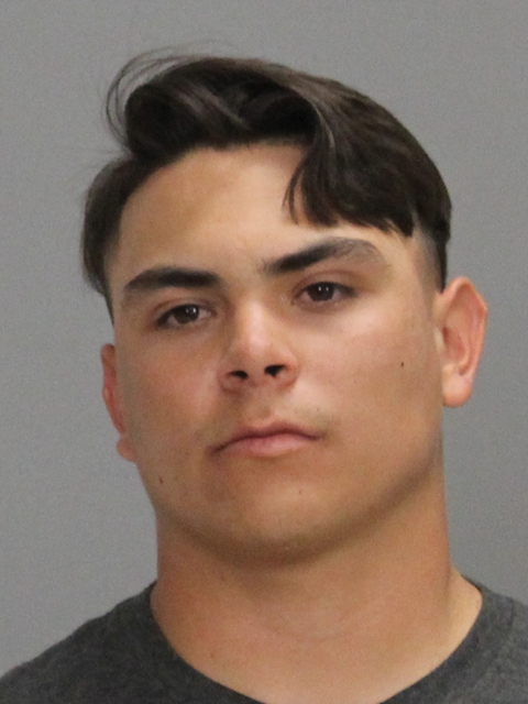 KANNAN, DYLAN MARK booking photo