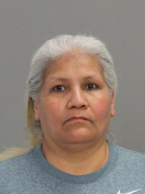 BOHLER, MARY LOU booking photo