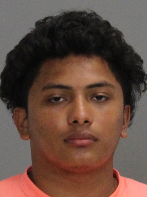 WALLE, KEVIN booking photo