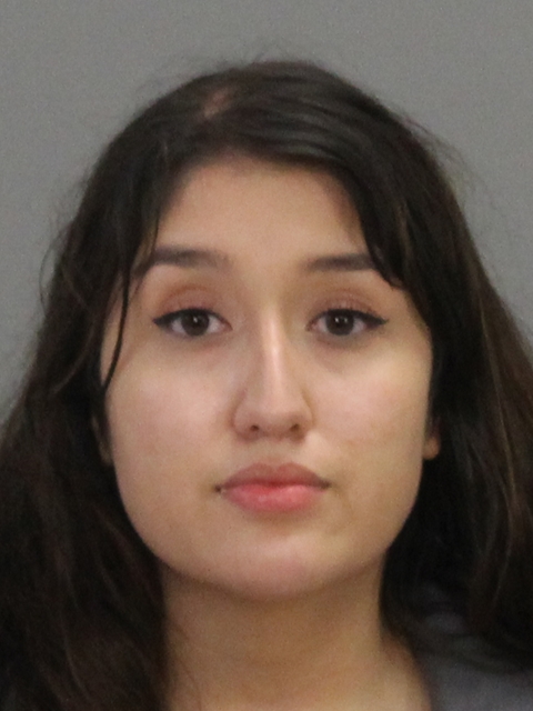 VASQUEZ, DIANA LUCIA booking photo