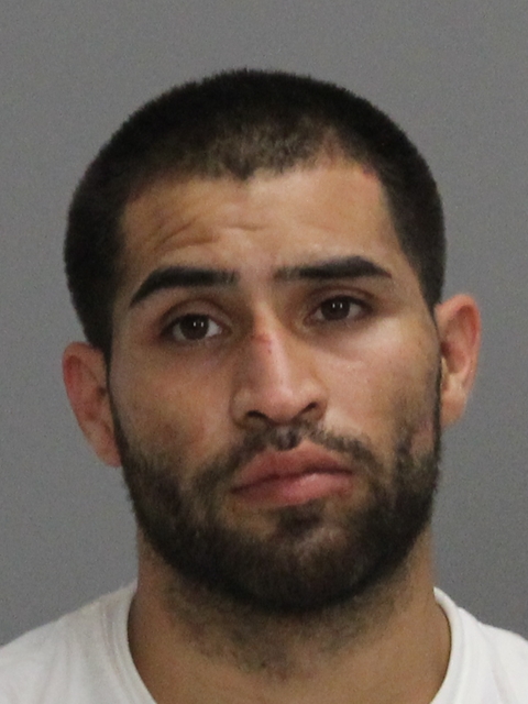 PINA, ARTURO DAVILA, Jr booking photo