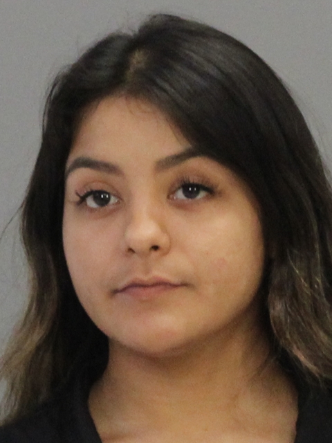 RAMIREZ, BRIANA booking photo