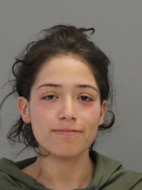 SANCHEZ, JASMINE LISSETTE booking photo