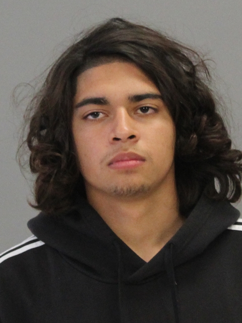 MORENO, MIGUEL ANGEL booking photo