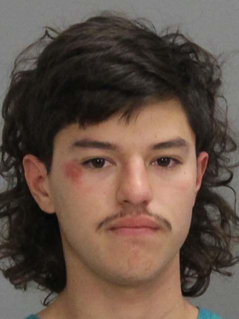 SILVA, NATHAN DOUGLAS booking photo