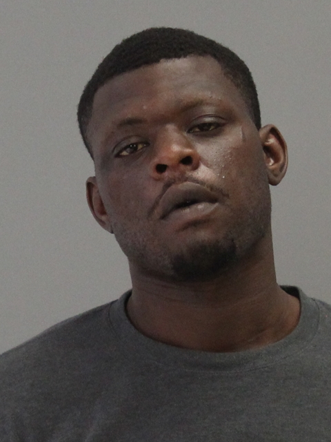 NELSON, TAIWAN DSHON booking photo