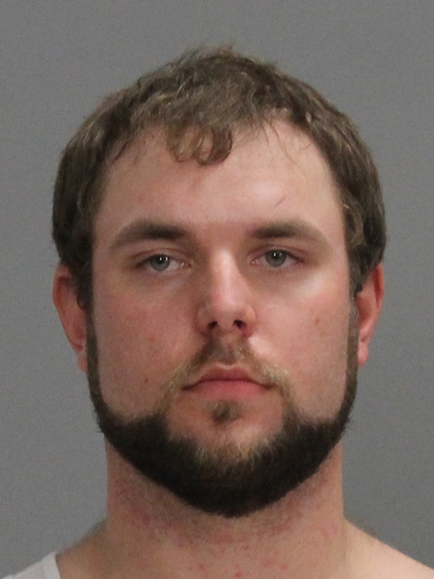 ARSENEAUX, ALEXANDER HENRI booking photo