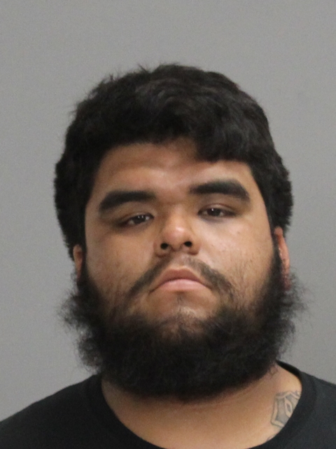Rodriguez, Kevin Dillon booking photo
