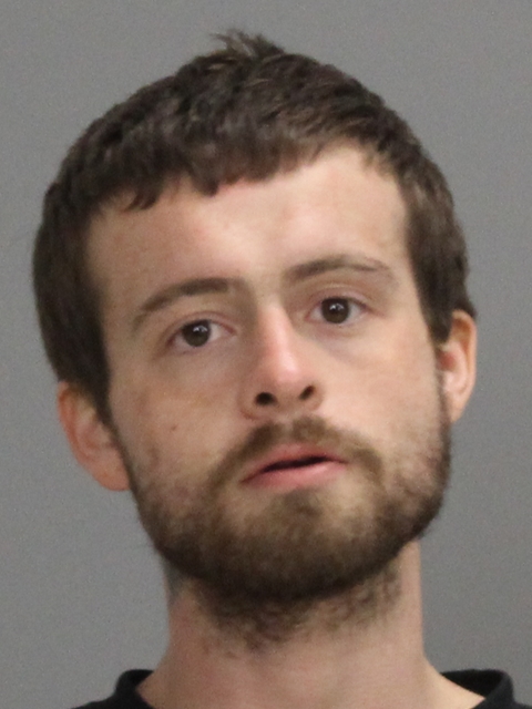 REEVES, BRANDON MICHAEL booking photo