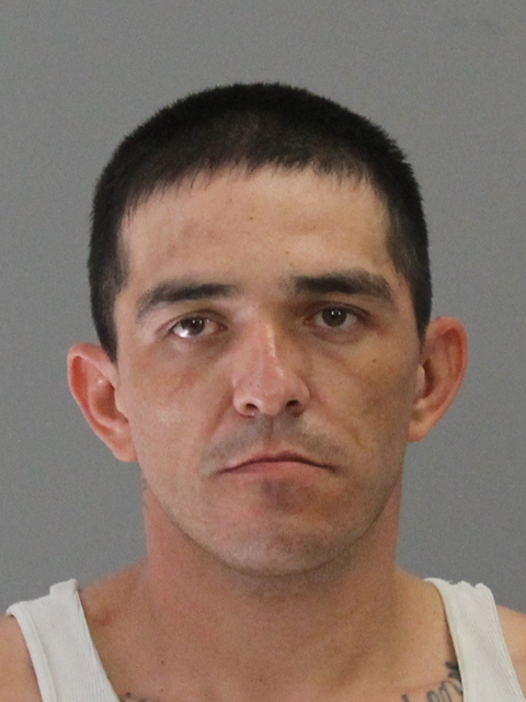 WELVAERT, JAMES LEO booking photo