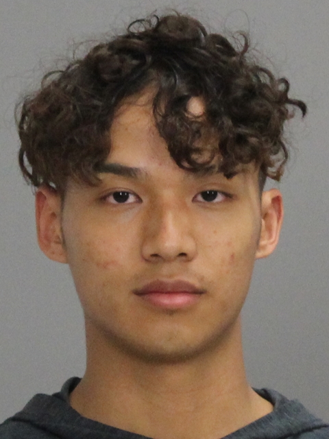 NGUYEN, HUY D booking photo