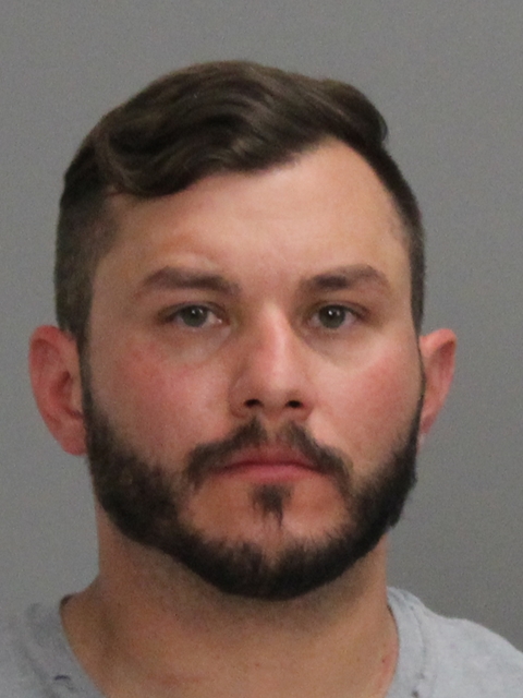 NELSON, WILLIAM LEROY booking photo