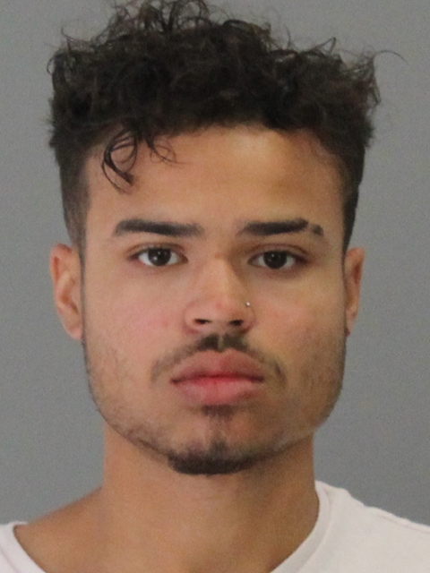 HENRY, CHRISTIAN ALEXANDER booking photo