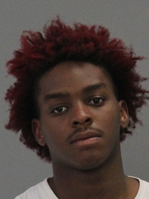 Logan, Zavion Dakeevon booking photo