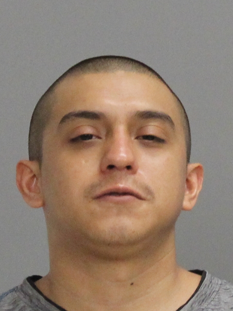 ARELLANO, MARIO booking photo