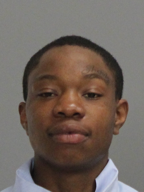 HIGGINS, QUINTAVIA SHAMON booking photo