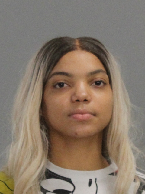 KINMON, LYDIA HANNA booking photo
