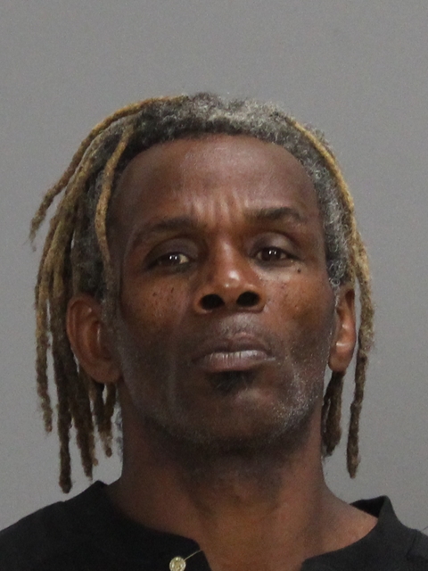 PALMER, MICHEAL LEON booking photo