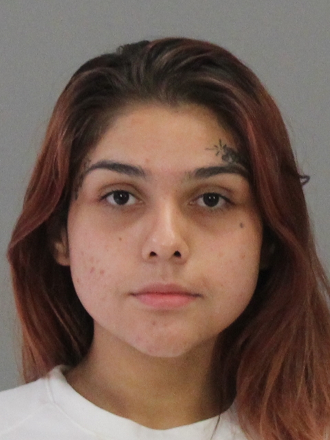 Charles, Destiny Alexis booking photo