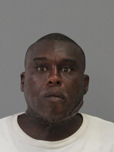 NELSON, DWAYNE RODDELL booking photo