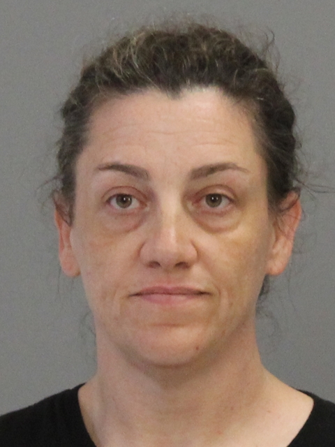 HEBB, PAULA CHRISTINE booking photo