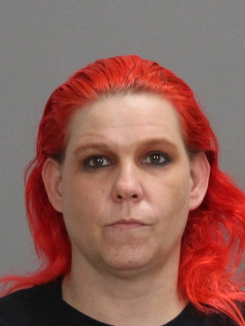 OATIS, DEALIE ANN booking photo