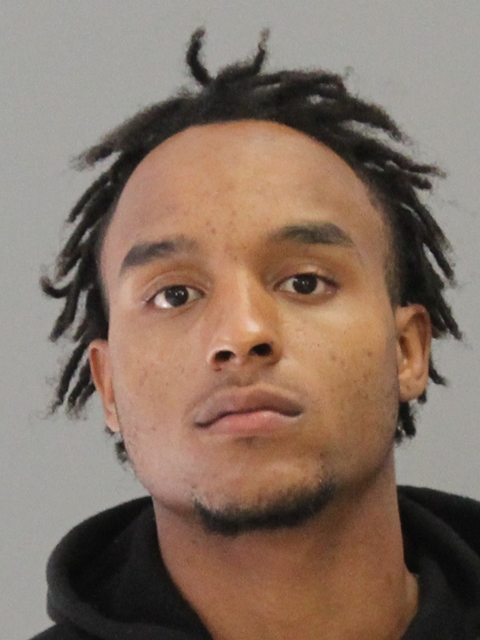 WILLIAMS, TEDDY DENZEL booking photo