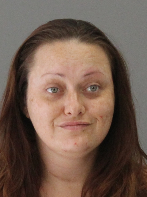 SANDERSON, SARAH ALLISON booking photo