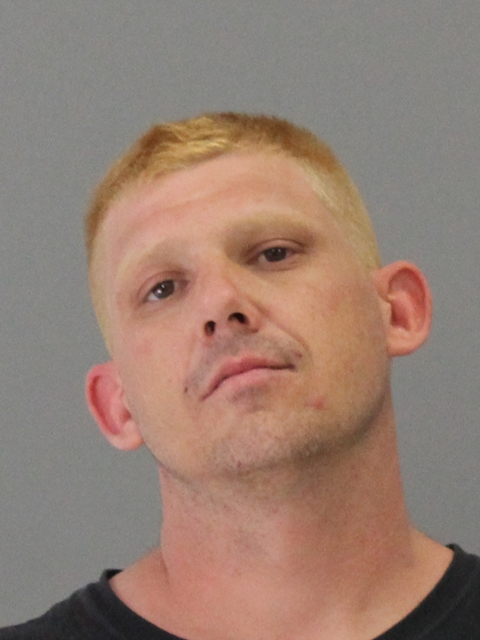 HOLDRIDGE, WESLEY booking photo