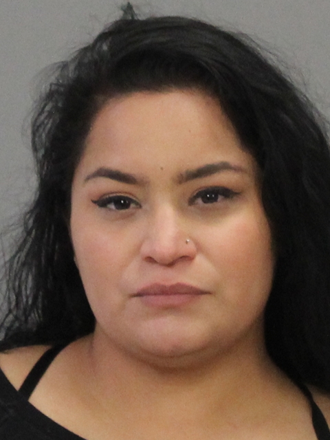 CASTILLO, CRYSTAL booking photo
